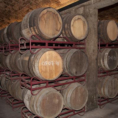 Freixenet Winery Sant Sadurn Danoia 6